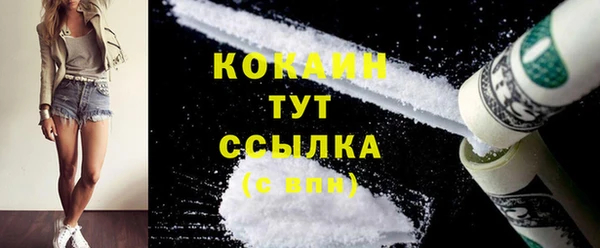 mix Богородицк
