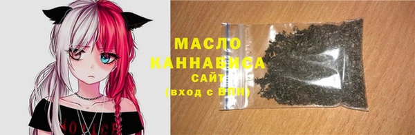 mix Богородицк