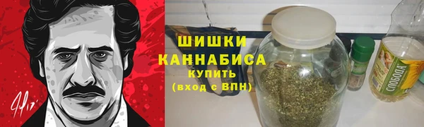 mix Богородицк