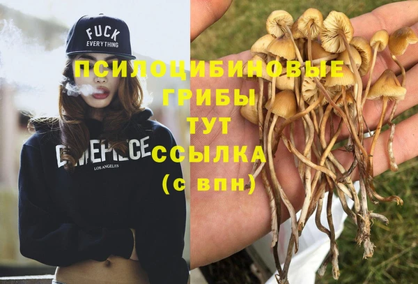 эйфоретик Богородск
