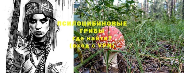 эйфоретик Богородск