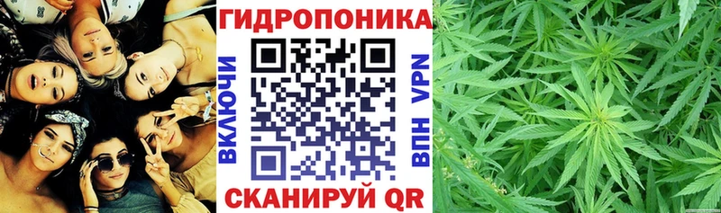 цены наркотик  KRAKEN как войти  Бошки марихуана семена  Дрезна 